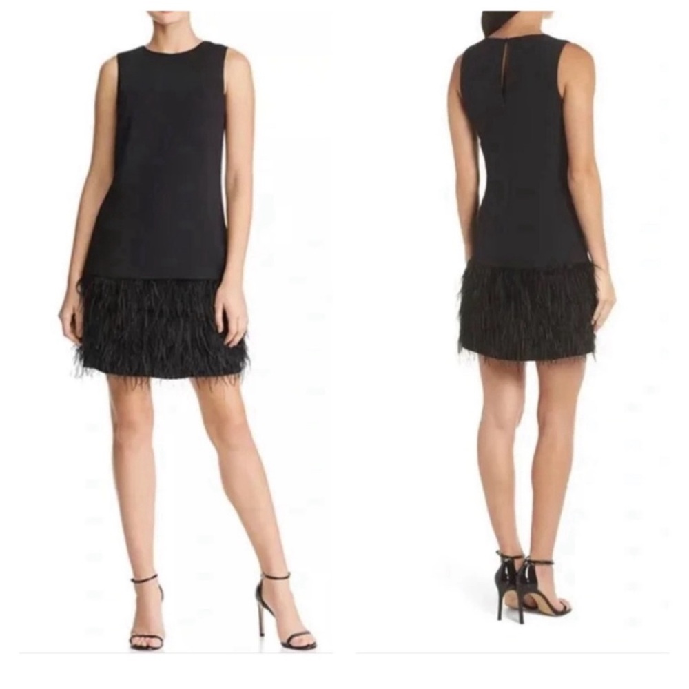 Elegant Black Feathered Hem Dress